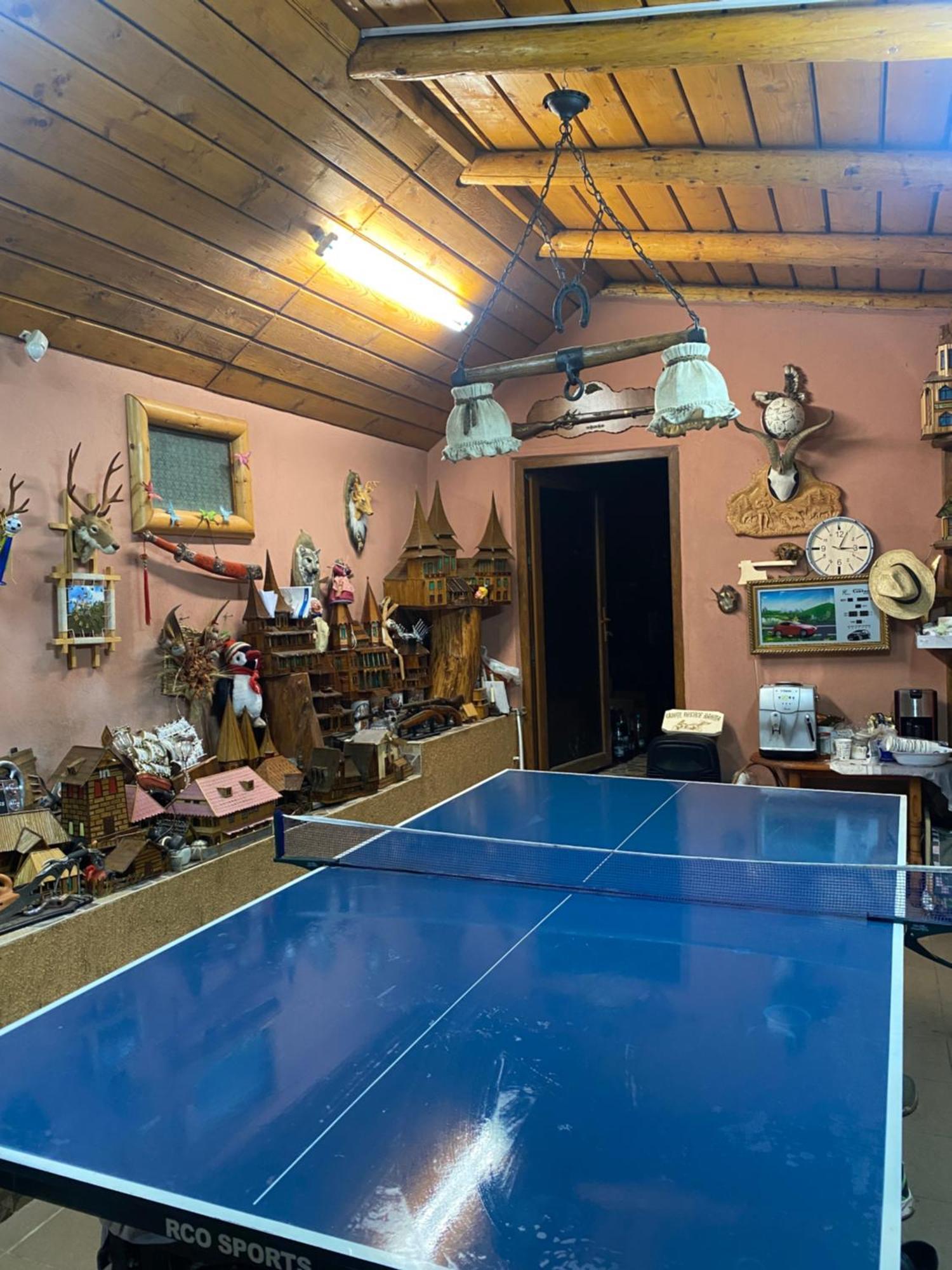 Cabana Cu Teren De Tenis -- Etaj Banita Exterior photo